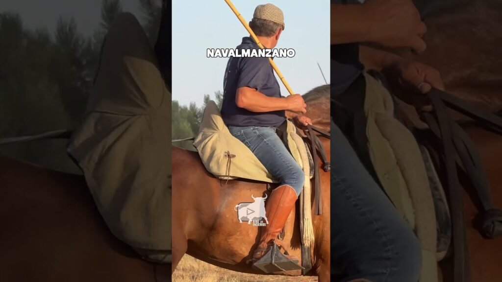 Encierros en Navalmanzano 2026 - EL TORO SE ESCONDE Y NO QUIERE SALIR