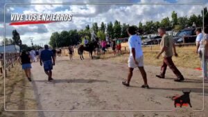 Encierro campero en Fuentepelayo 2026 - En DIRECTO ENCIERRO CAMPERO DESDE FUENTEPELAYO