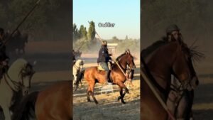 Encierro en Cuellar 2026 - TOROS DE BETETA FIJÁNDOSE POR EL PASO DE MAQUINAS