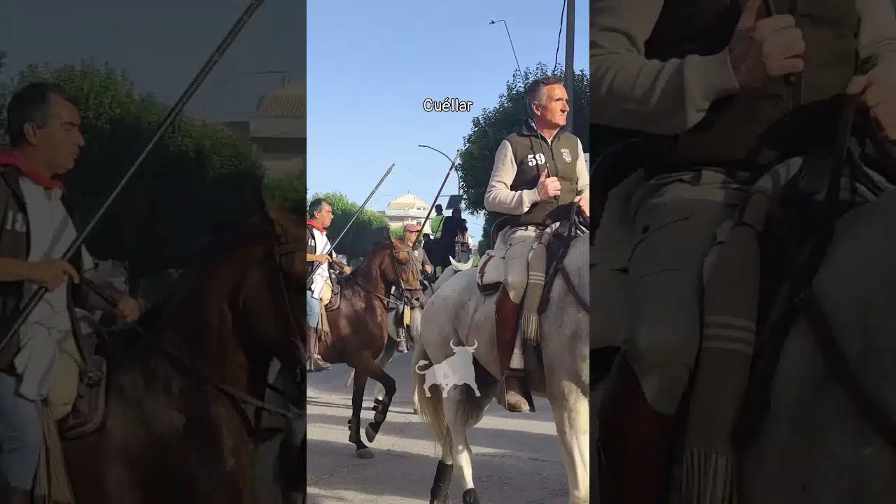 Encierro en Cuellar 2026 - ENTRADA DE LOS BETETA A LA VILLA DE CUÉLLAR