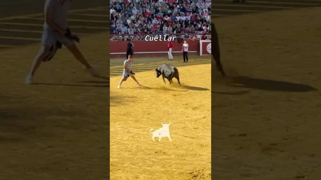 Capea en Cuellar 2026 - TERCERA PROBADILLA CUÉLLAR