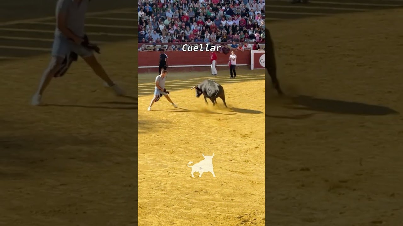 Capea en Cuellar 2026 - TERCERA PROBADILLA CUÉLLAR