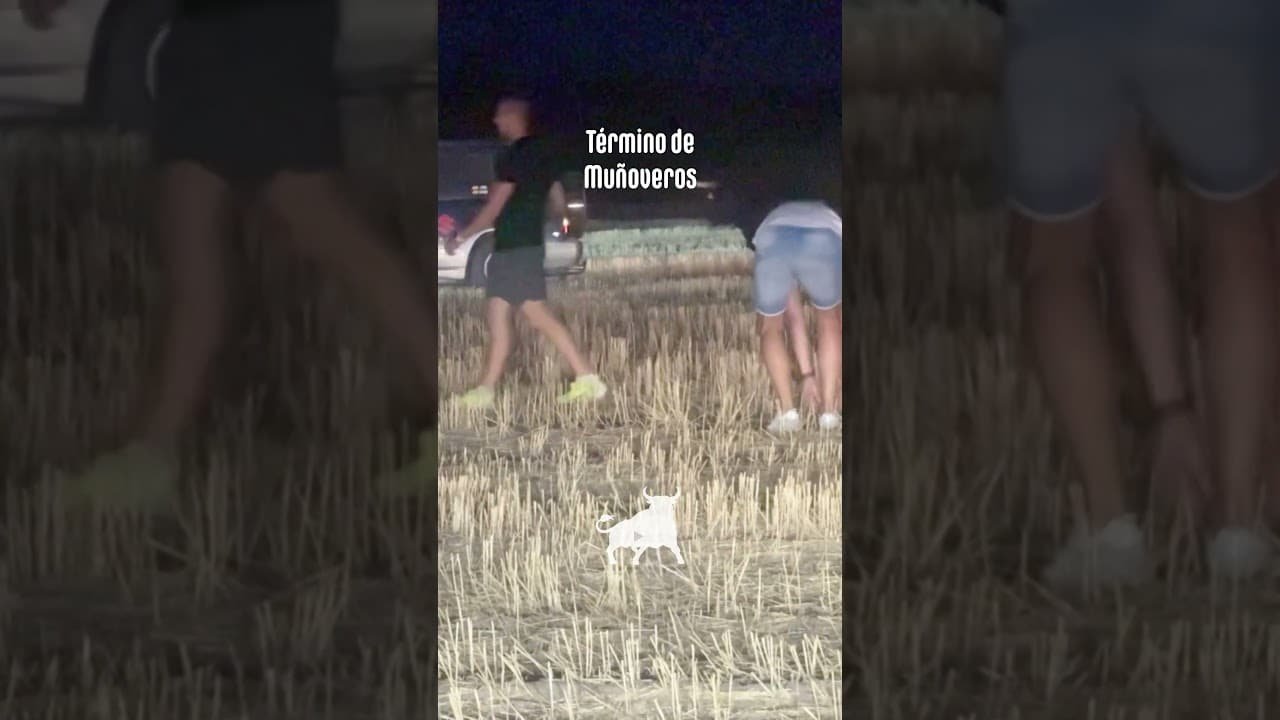 Encierro campero en Turégano 2026 - CAE LA NOCHE Y EL TORO SIGUE FUGADO