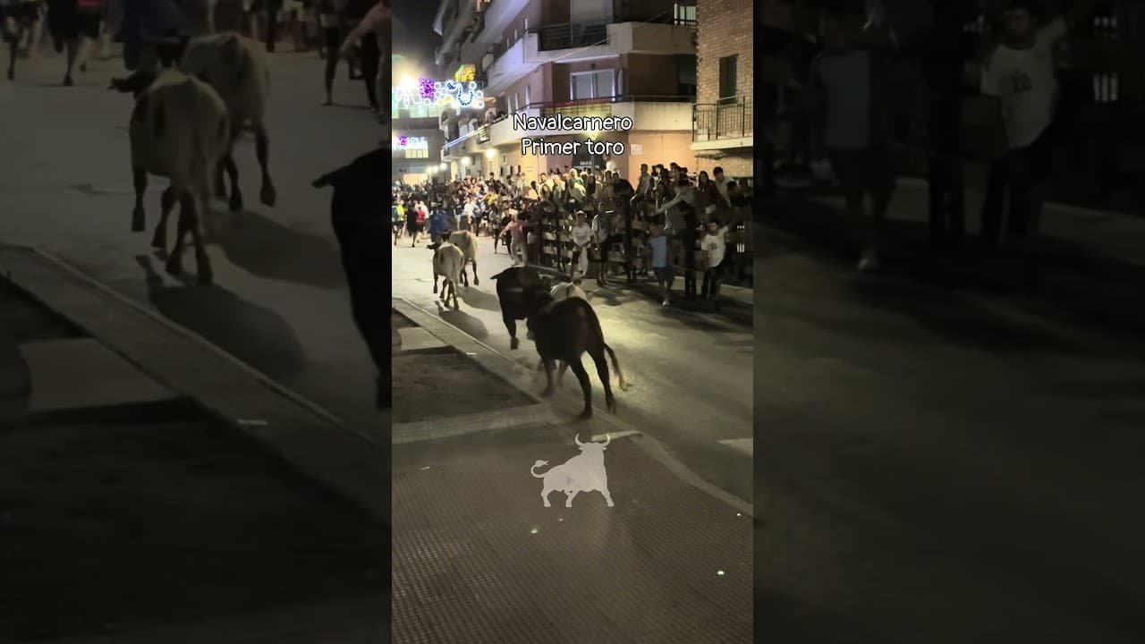Encierro urbano en Navalcarnero 2026 - Encierro nocturno Navalcarnero primer toro
