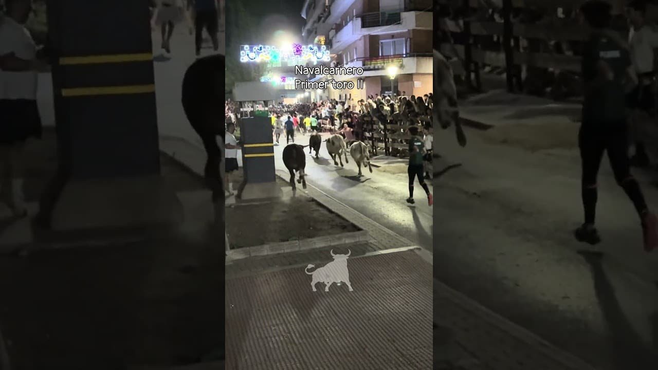 Encierro urbano en Navalcarnero 2026 - Segunda carrera del primer toro Navalcarnero