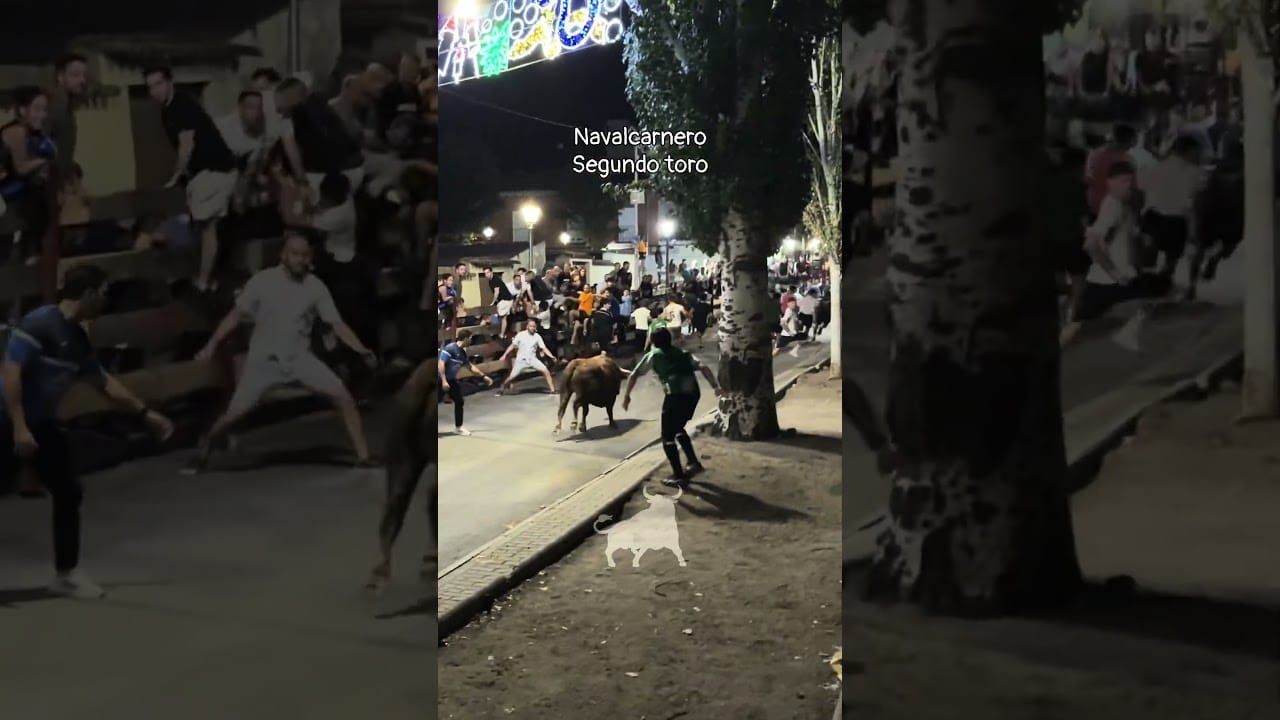 Encierro urbano en Navalcarnero 2026 - Segundo toro encierro nocturno Navalcarnero