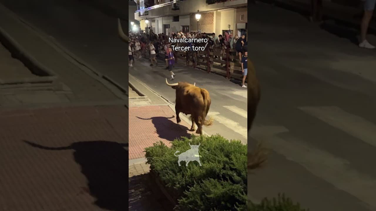 Encierro urbano en Navalcarnero 2026 - Tercer toro encierro nocturno Navalcarnero