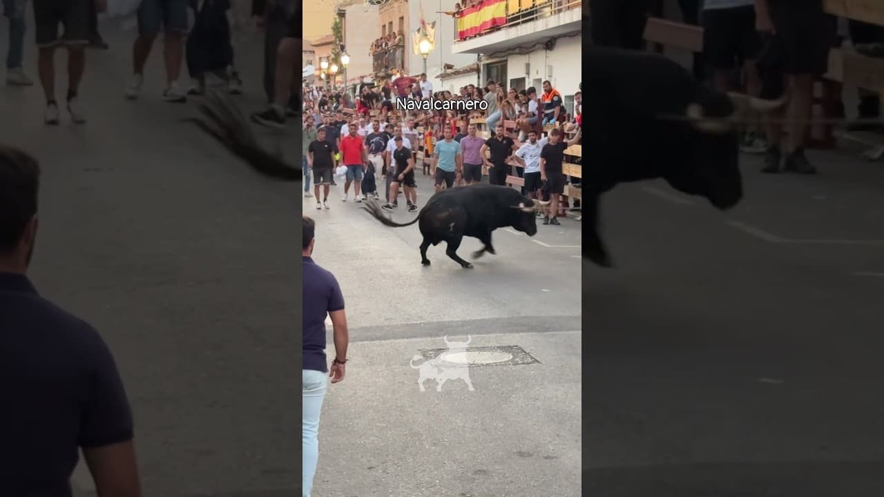 Encierro urbano en Navalcarnero 2026 - Toro impresionante bajando las calles de Navalcarnero