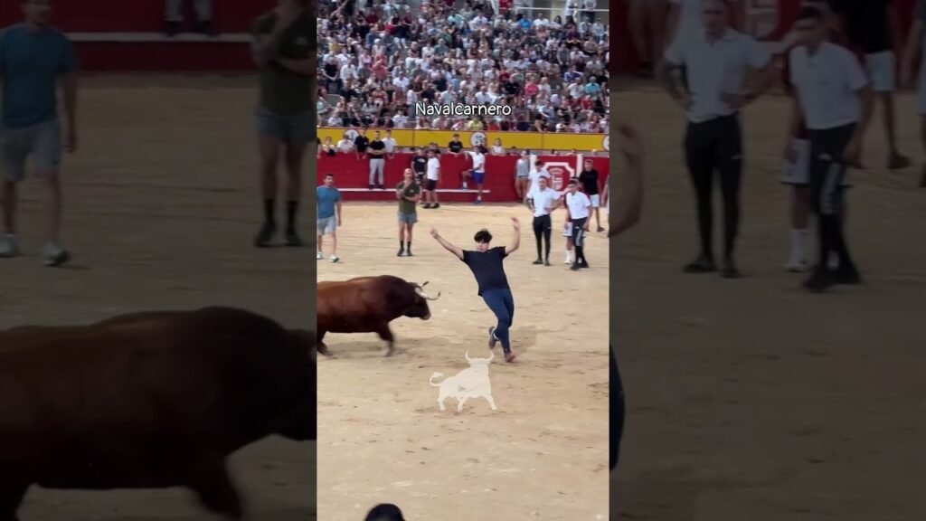 Encierro urbano en Navalcarnero 2026 - Muy buenos cortes con el primer toro Navalcarnero 10-09-26