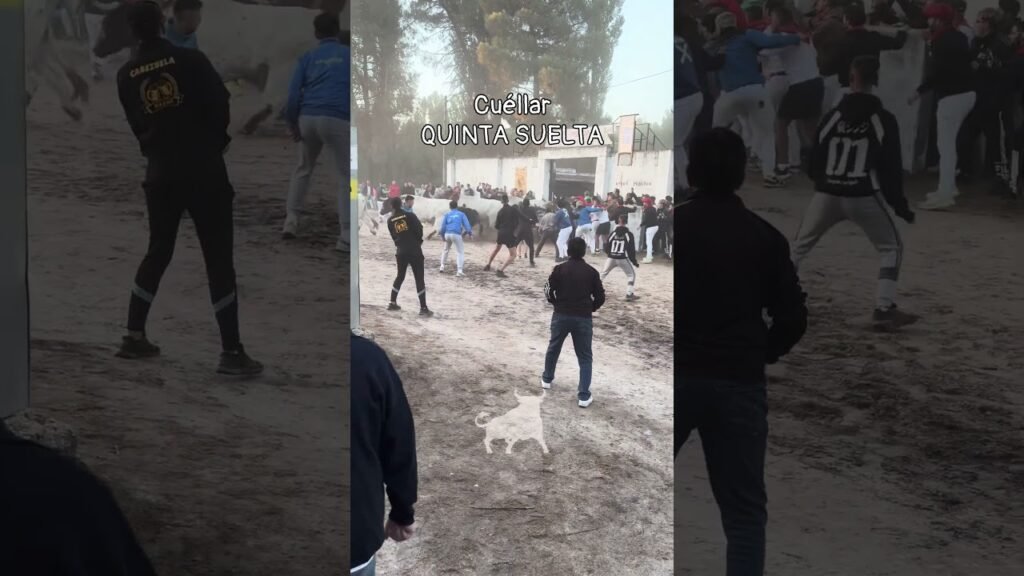 Encierro en Cuellar 2026 - QUINTA Y ULTIMA SUELTA CUÉLLAR