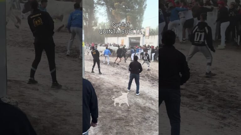 Encierro en Cuellar 2026 - QUINTA Y ULTIMA SUELTA CUÉLLAR