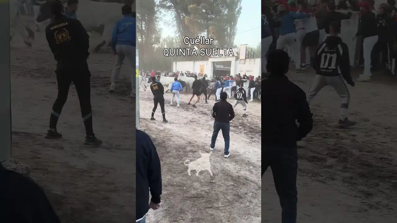 Encierro en Cuellar 2026 - QUINTA Y ULTIMA SUELTA CUÉLLAR