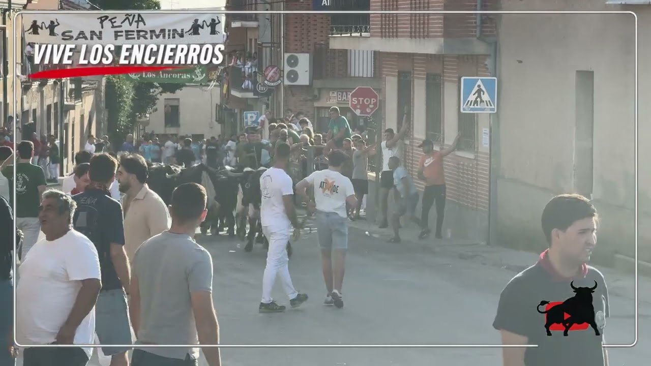 Encierro urbano en Carbonero El Mayor 2026 - RESUMEN Primer Encierro Urbano Carbonero el Mayor 06-09-26