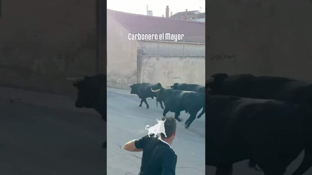 Encierro urbano en Carbonero El Mayor 2026 - Primer encierro Carbonero el Mayor parte1