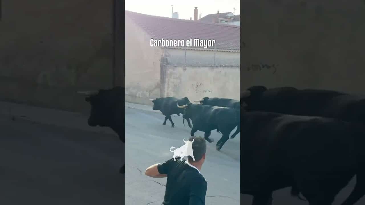 Encierro urbano en Carbonero El Mayor 2026 - Primer encierro Carbonero el Mayor parte1