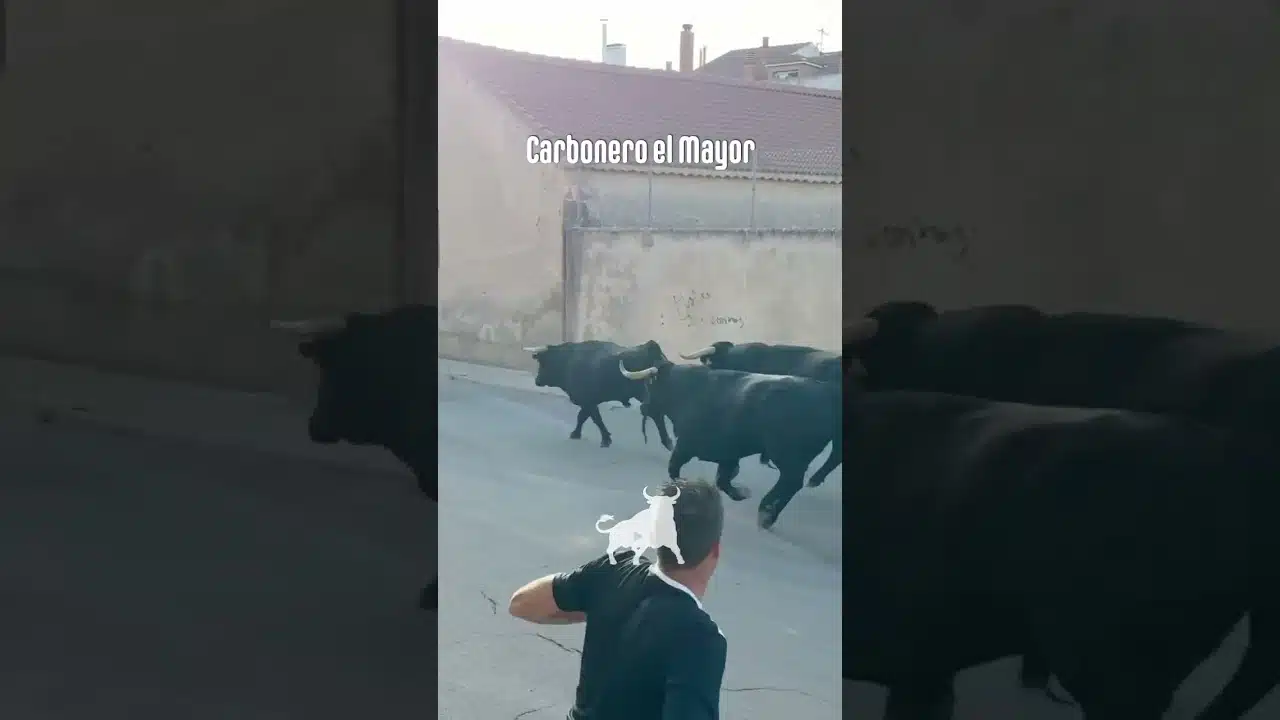 Encierro urbano en Carbonero El Mayor 2026 - Primer encierro Carbonero el Mayor parte1