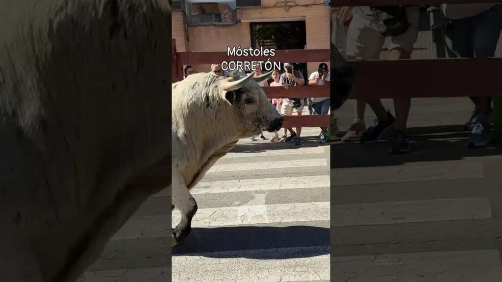 Toro a cajon en Mostoles 2026 - IMPRESIONANTE Corretón el I Toro de Cajón Móstoles