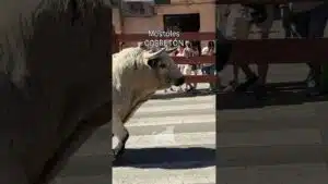 Toro a cajon en Mostoles 2026 - IMPRESIONANTE Corretón el I Toro de Cajón Móstoles