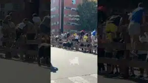Encierro urbano en Mostoles 2026 - Primer encierro Móstoles 2026