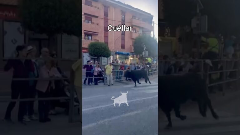 Encierro en Cuellar 2026 - El Ángel de la Guarda en Cuéllar