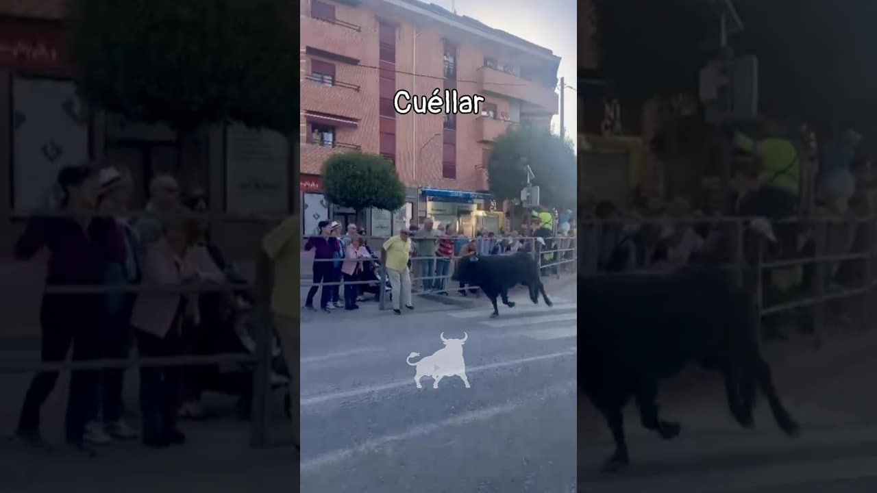 Encierro en Cuellar 2026 - El Ángel de la Guarda en Cuéllar