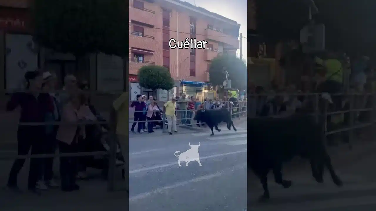 Encierro en Cuellar 2026 - El Ángel de la Guarda en Cuéllar