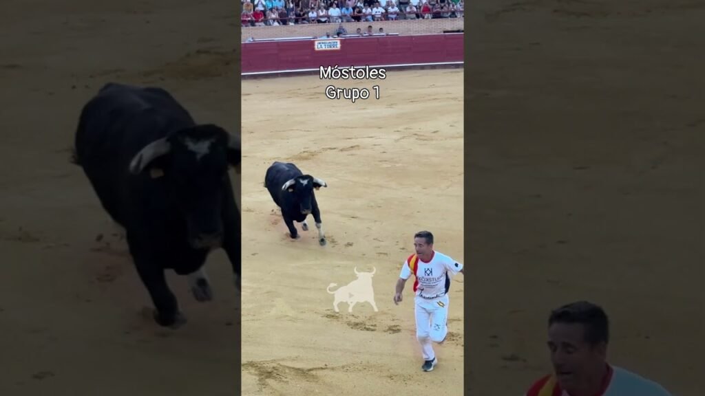 Concurso de recortadores en Mostoles 2026 - Grupo 1 del concurso de cortes Móstoles 2026