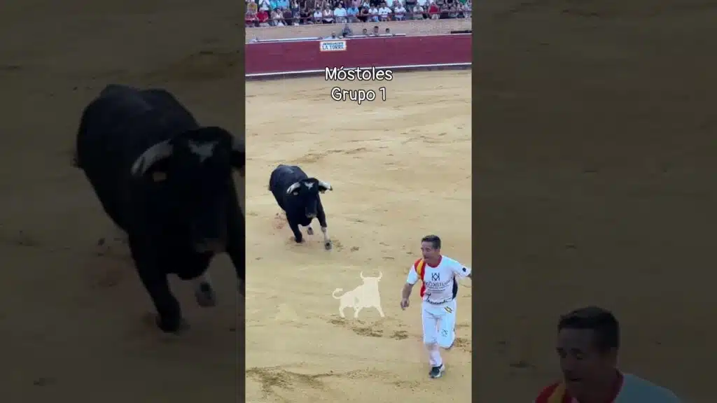 Concurso de recortadores en Mostoles 2026 - Grupo 1 del concurso de cortes Móstoles 2026