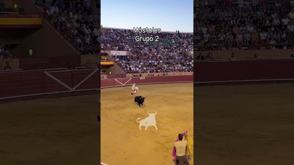 Concurso de recortadores en Mostoles 2026 - Grupo 2 Concurso de recortes Móstoles 2026