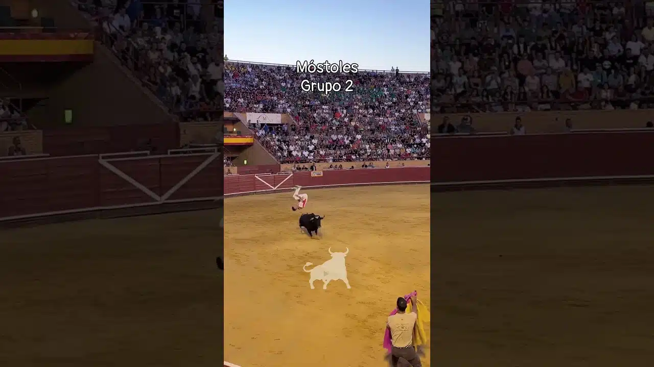 Concurso de recortadores en Mostoles 2026 - Grupo 2 Concurso de recortes Móstoles 2026