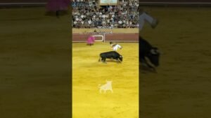Recortes en Mostoles 2026 - Extraordinario el grupo 4 del concurso de recortes Móstoles 2026