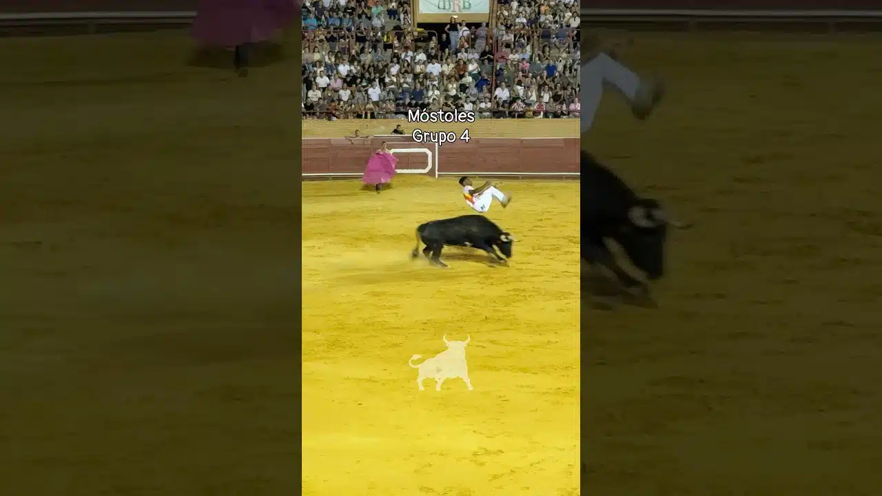 Recortes en Mostoles 2026 - Extraordinario el grupo 4 del concurso de recortes Móstoles 2026