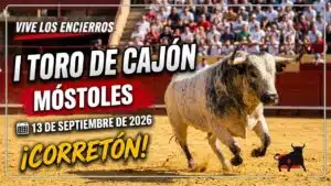 Concurso de recortadores en Mostoles 2026 - Impresionante I Toro de Cajón y Capea Móstoles 13-09-26