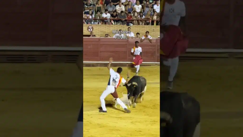 Recortes en Mostoles 2026 - REÑIDA FINAL CONCURSO DE RECORTADORES MÓSTOLES 26