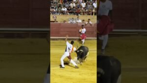 Recortes en Mostoles 2026 - REÑIDA FINAL CONCURSO DE RECORTADORES MÓSTOLES 26