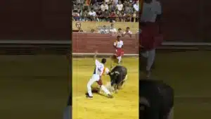 Recortes en Mostoles 2026 - REÑIDA FINAL CONCURSO DE RECORTADORES MÓSTOLES 26