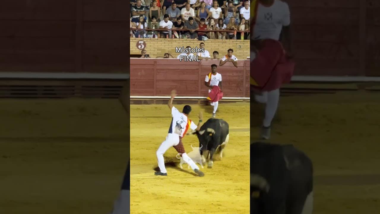 Recortes en Mostoles 2026 - REÑIDA FINAL CONCURSO DE RECORTADORES MÓSTOLES 26