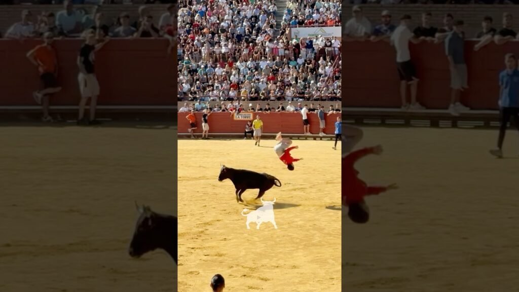 Concurso de recortadores en Mostoles 2026 - INCREÍBLES CORTES Y SALTOS A CORRETÓN