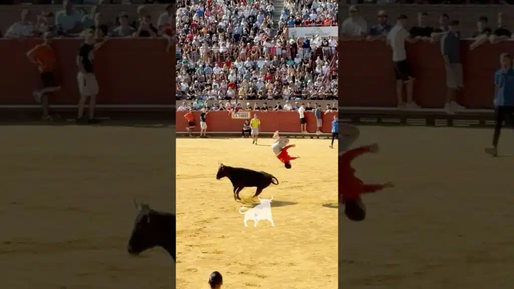 Concurso de recortadores en Mostoles 2026 - INCREÍBLES CORTES Y SALTOS A CORRETÓN