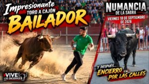 Toro a cajon en Numancia De La Sagra 2026 - Toro de Cajón y Encierro - Numancia De La Sagra 18-09-26