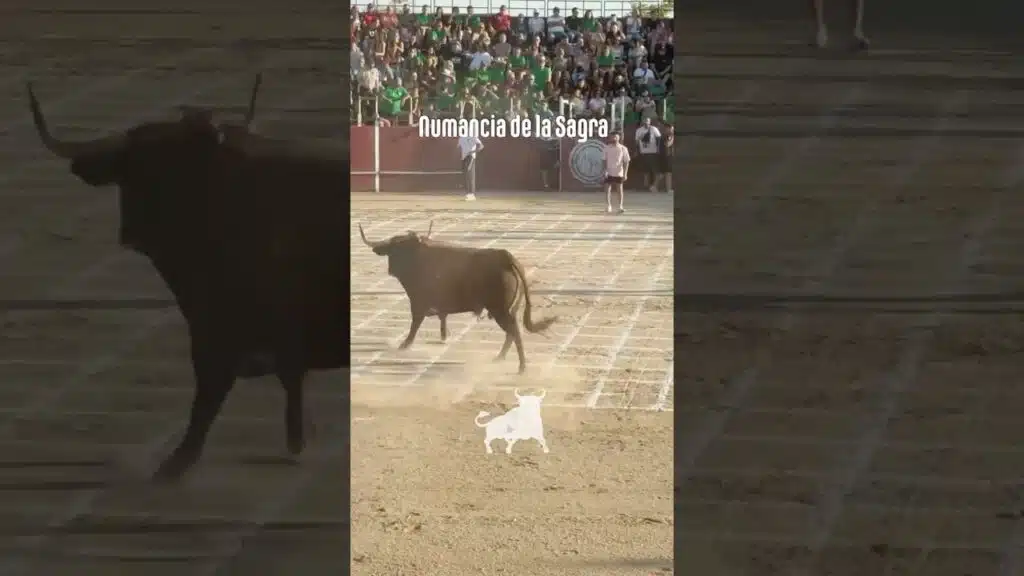 Toro a cajon en Numancia De La Sagra 2026 - Bailador toro a cajón parte1