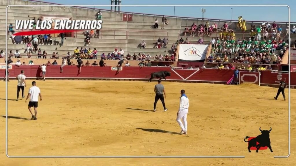 Encierro en Mostoles 2026 - Segundo Encierro y Capea Móstoles 14-09-26
