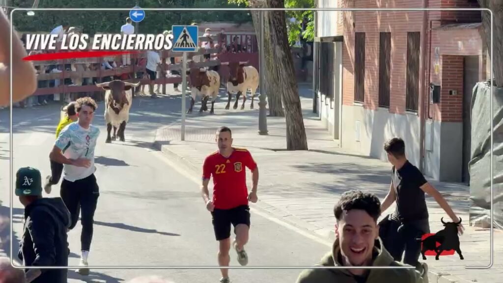 Encierro urbano en Villaviciosa De Odon 2026 - Encierro Villaviciosa de Odón