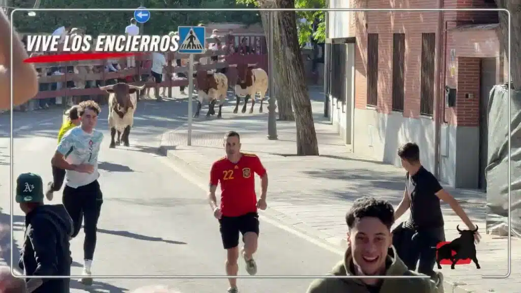 Encierro urbano en Villaviciosa De Odon 2026 - Encierro Villaviciosa de Odón