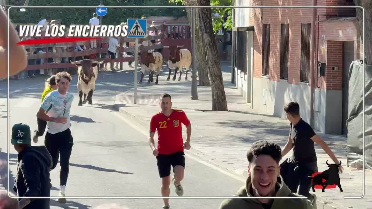 Encierro urbano en Villaviciosa De Odon 2026 - Encierro Villaviciosa de Odón