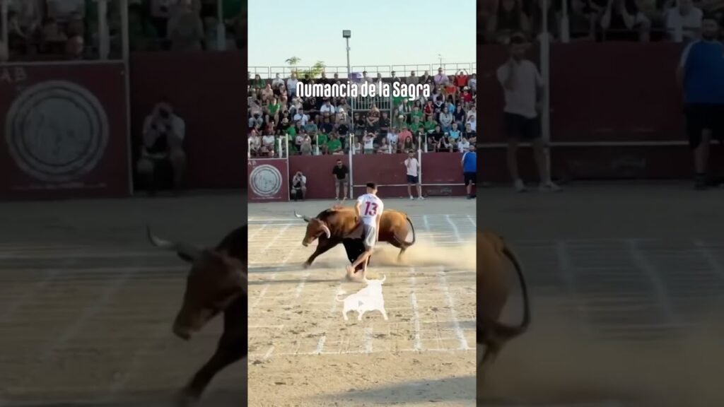 Toro a cajon en Numancia De La Sagra 2026 - Bailador en Numancia parte 3