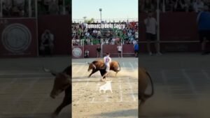 Toro a cajon en Numancia De La Sagra 2026 - Bailador en Numancia parte 3