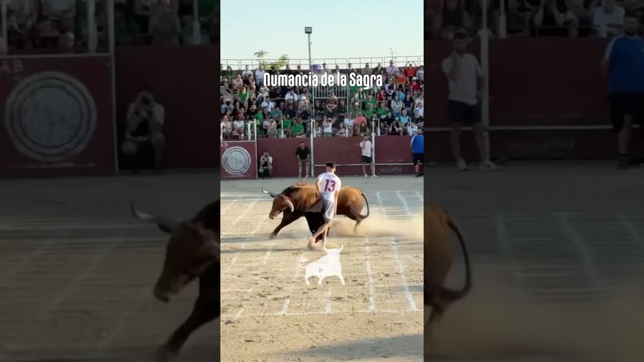 Toro a cajon en Numancia De La Sagra 2026 - Bailador en Numancia parte 3