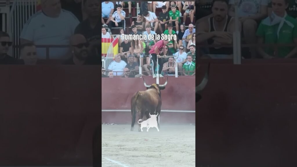 Toro a cajon en Numancia De La Sagra 2026 - Parte 4 Toro a Cajón Numancia de la Sagra