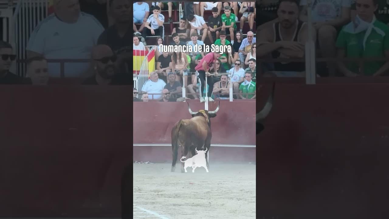 Toro a cajon en Numancia De La Sagra 2026 - Parte 4 Toro a Cajón Numancia de la Sagra